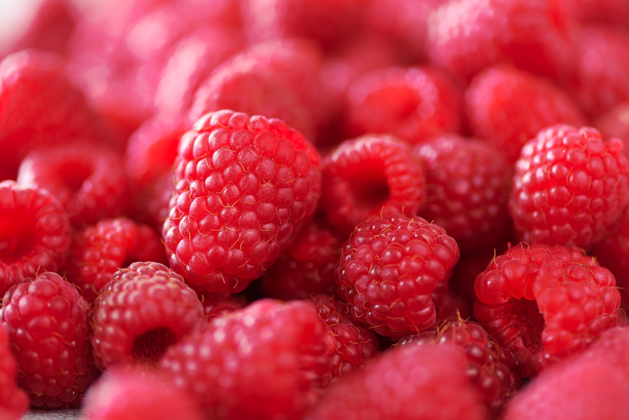 Ripe raspberries macro. Selective focus. Fruit background with copy space. Summer and berries